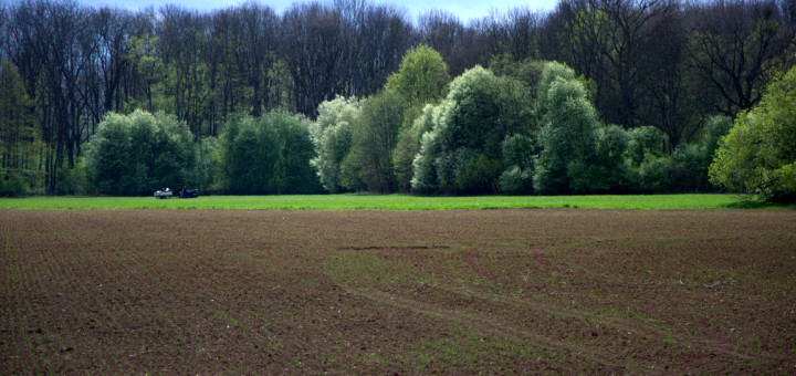 DSC3556