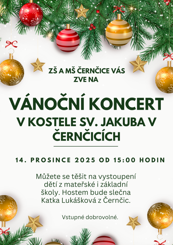 vystoupení mladých umělců