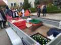 IMG-20220330-WA0072