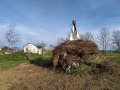 IMG_20220430_182636