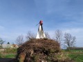IMG_20220430_182645