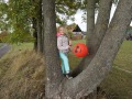 DSC05986