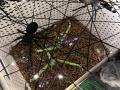 IMG-20231101-WA0045