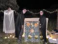 IMG-20231101-WA0046