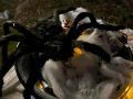 IMG-20231101-WA0049